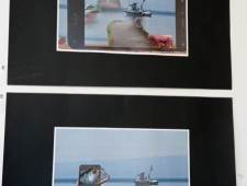 316040135_510101191050598_7269832708877594429_n