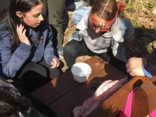 278000224_850915079637466_7551989166449329090_n